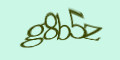 COM_SMFAQ_FORM_CAPTCHA