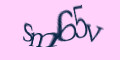 COM_SMFAQ_FORM_CAPTCHA