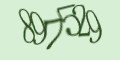 COM_SMFAQ_FORM_CAPTCHA