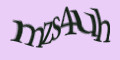 COM_SMFAQ_FORM_CAPTCHA
