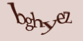 COM_SMFAQ_FORM_CAPTCHA