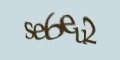 COM_SMFAQ_FORM_CAPTCHA