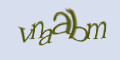 COM_SMFAQ_FORM_CAPTCHA