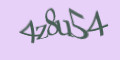 COM_SMFAQ_FORM_CAPTCHA