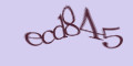 COM_SMFAQ_FORM_CAPTCHA