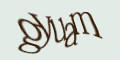 COM_SMFAQ_FORM_CAPTCHA