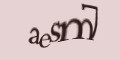 COM_SMFAQ_FORM_CAPTCHA