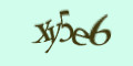 COM_SMFAQ_FORM_CAPTCHA