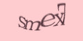 COM_SMFAQ_FORM_CAPTCHA