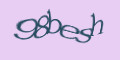 COM_SMFAQ_FORM_CAPTCHA