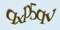 COM_SMFAQ_FORM_CAPTCHA